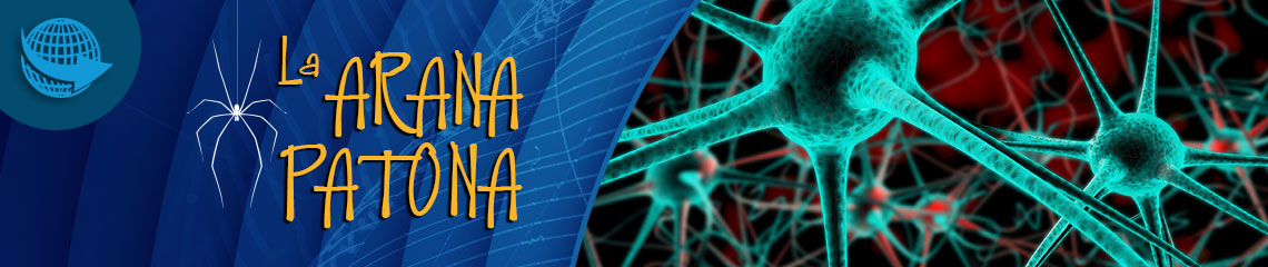 La araña patona 90 - Neurología y Neurocirugía