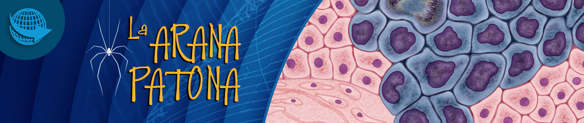 La araña patona 213 - La proteómica contra el cáncer